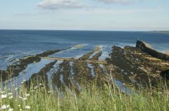  Severn pobe St. Andrews 